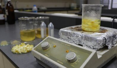 Ağaç kavunu kabuğundan çevreci ‘süper emici hidrojel’