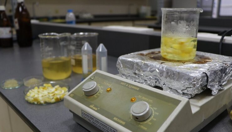 Ağaç kavunu kabuğundan çevreci ‘süper emici hidrojel’