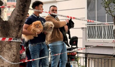 Antalya’da bir atölyede yangın çıktı: 4 köpek kurtarıldı