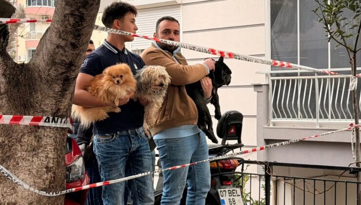 Antalya’da bir atölyede yangın çıktı: 4 köpek kurtarıldı