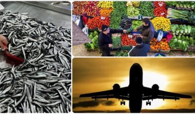 Aralık 2025’te fiyatı en fazla artan ürün ‘taze balık’ oldu