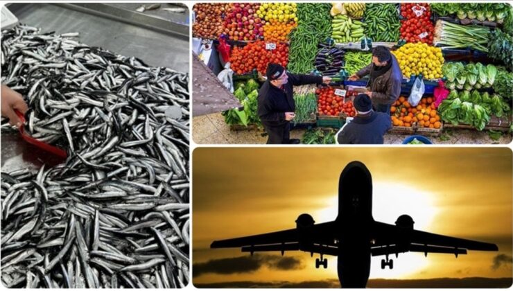 Aralık 2025’te fiyatı en fazla artan ürün ‘taze balık’ oldu