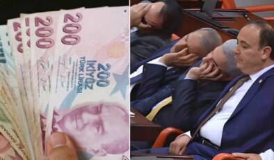 Araştırma ortaya koydu: Yurttaşların yüzde 95’i milletvekillerine çift maaşa karşı!