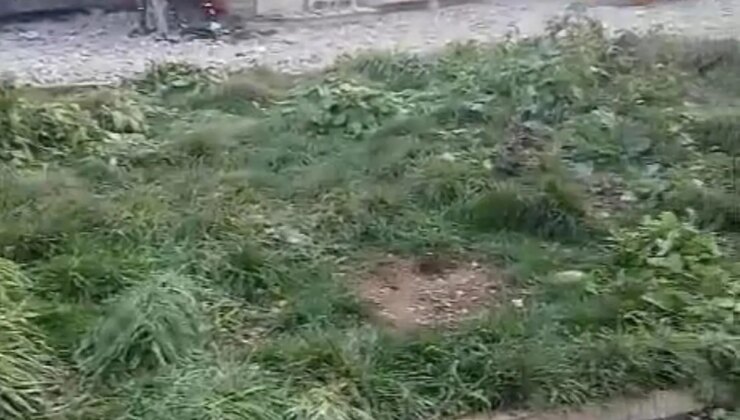 Arnavutköy’de şantiyede yangın paniği: Konteynerler alev alev yandı