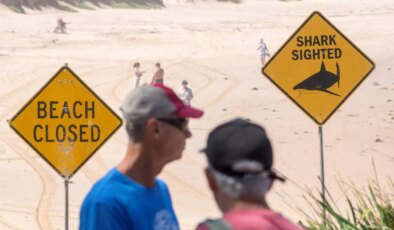 Avustralya’da onlarca plaj kapatıldı: 2 günde 4 köpekbalığı saldırısı