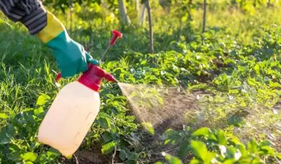 ‘B-Reçete’ uygulaması başlıyor: Bitkiye ilaç artık reçeteyle alınacak