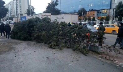 Bahçelievler’de şiddetli rüzgar nedeniyle ağaç devrildi: 1 kişi altında kaldı