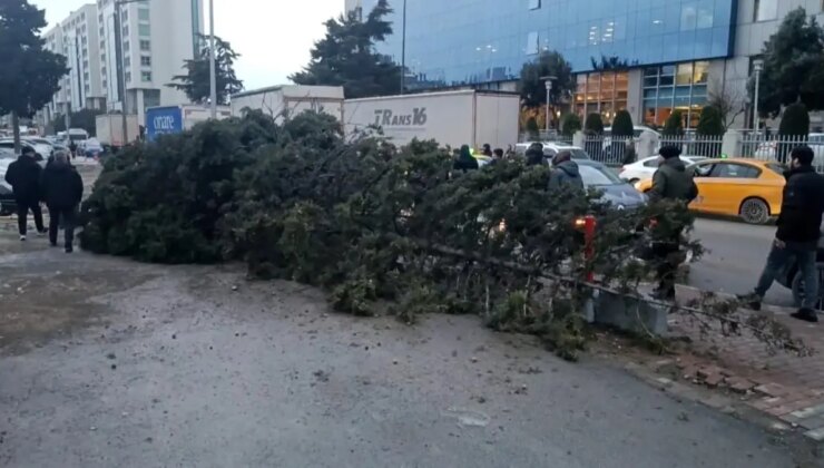 Bahçelievler’de şiddetli rüzgar nedeniyle ağaç devrildi: 1 kişi altında kaldı