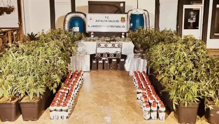 Bakan Yerlikaya duyurdu: Jandarma, son iki haftada 6 milyon uyuşturucu hap ve 270 kilogram uyuşturucu ele geçirdi!