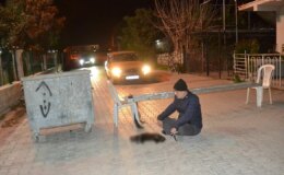 Baktığı sokak kedisi ezilince, sokağı kapatıp eylem yaptı