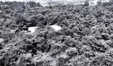 Başakşehir Şamlar Tabiat Parkı beyaza büründü