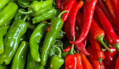 Batı Akdeniz’de biber ihracatıyla şampiyonluk geldi