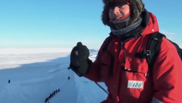 Belgesel ekibi, müdahale etmeme kuralını ihlal ederek mahsur kalan penguenleri kurtardı