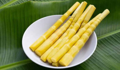 Bilim dünyası ‘yeni süper gıda’yı seçti: Bambu filizi sağlık dağıtıyor!