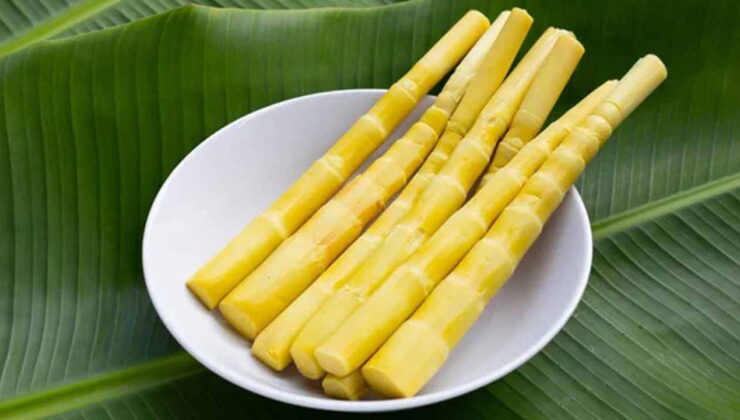 Bilim dünyası ‘yeni süper gıda’yı seçti: Bambu filizi sağlık dağıtıyor!