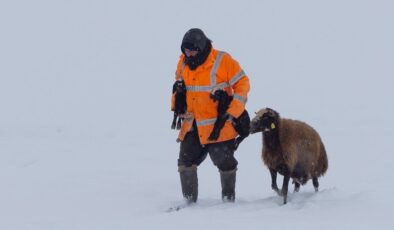 Bingöl Karlıova’da besicilerin kış mesaisi
