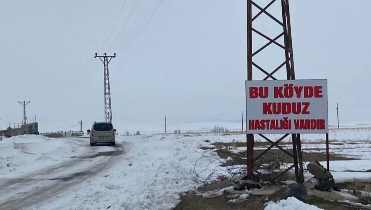 Bitlis’te bir köy kuduz nedeniyle karantinaya alındı