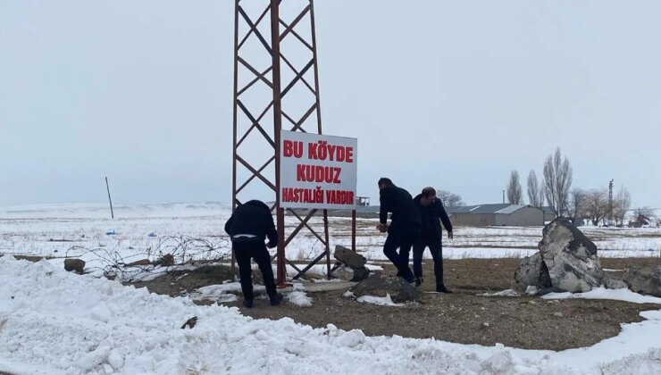 Bitlis’te bir köyde kuduz tespit edildi: Karantinaya alındı!