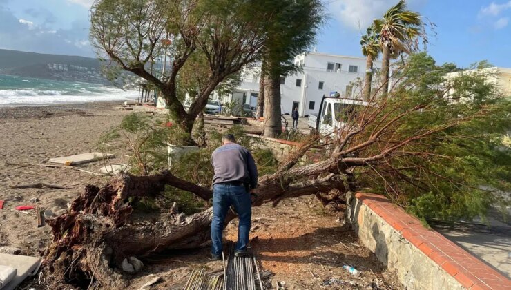 Bodrum’da ağaçlar devrildi: Feribot seferleri iptal edildi