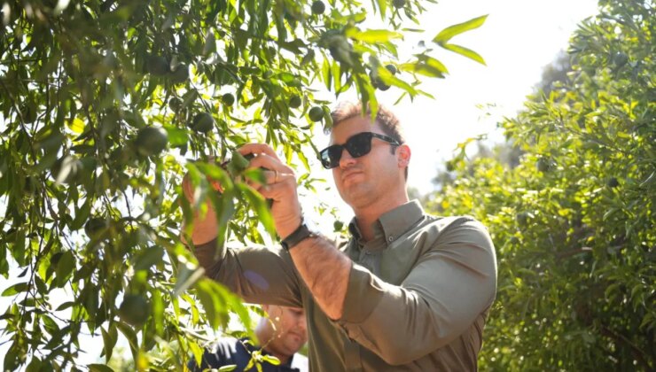 Bodrum’dan Türkiye’nin dört bir yanına gönderiliyor: Tek seferde 50 tonluk sipariş