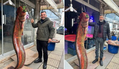 Çayırhan Gölü’nde balıkçı ağlarına 2 metrelik yayın balığı takıldı