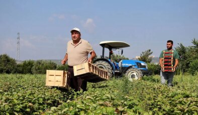 CHP’den EKK toplantısına eleştiri: ‘Tarım sizin için rapor olabilir ama…’