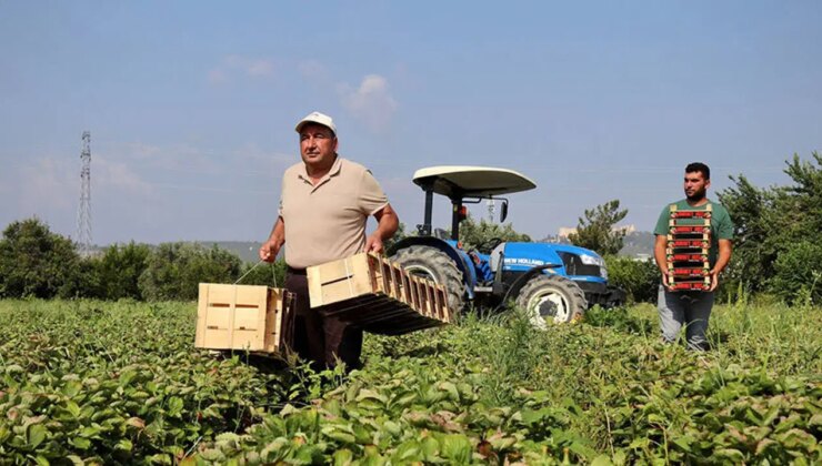 CHP’den EKK toplantısına eleştiri: ‘Tarım sizin için rapor olabilir ama…’