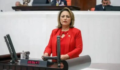 CHP’li Şevkin: 7 bine yakın jeoloji ve jeofizik mühendisi işsiz kalacak