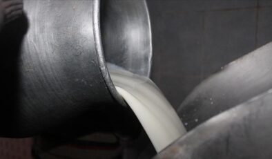 Çiğ süt tavsiye fiyatı: Litre başına 22,22 lira