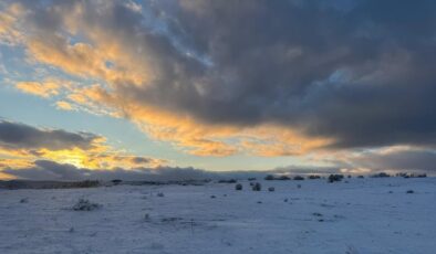 Çimsa, Bozüyük’te şehitliğe yakın sahadaki ruhsatı iptal ediyor