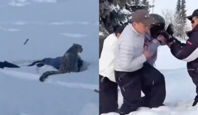 Çin’de kar leoparı turiste saldırdı