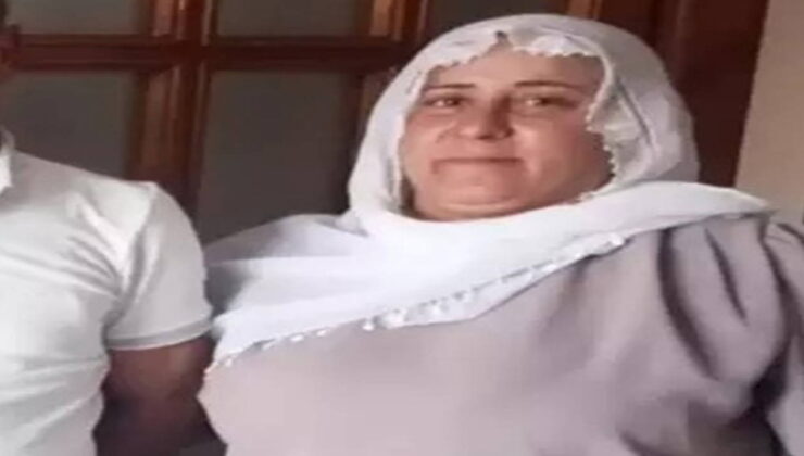 Diyarbakır’da kayıp Nimet Kılıç’ı 410 kişilik ekip arıyor