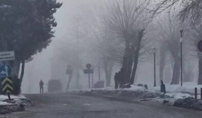 Diyarbakır’da sis etkili oldu!