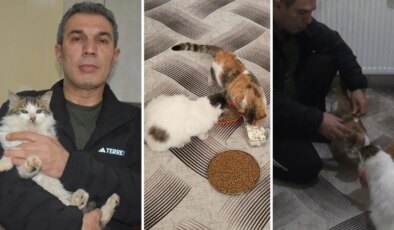 Dondurucu soğukta apartmandaki dairesini kedilere açtı: ‘Bütün tedbirlerimizi aldık onlar için’