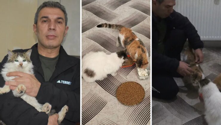 Dondurucu soğukta apartmandaki dairesini kedilere açtı: ‘Bütün tedbirlerimizi aldık onlar için’