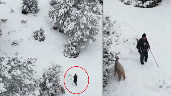 Dronuna tüfek doğrultulan fotoğrafçı: Ateş etse vurabilirdi