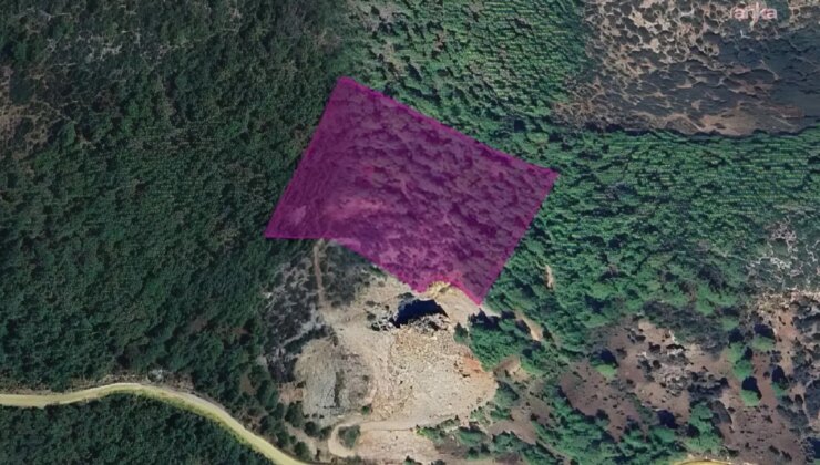 DSİ’den Muğla’da ormanlık alana maden ocağı projesi