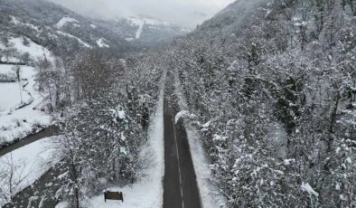 Dünyadaki benzerlerini aratmıyor! ‘Ağaç tünel yol’da büyüleyen kar manzaraları…