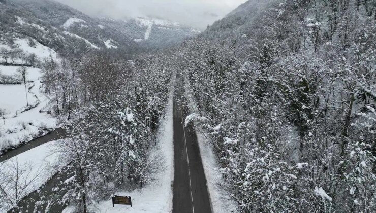 Dünyadaki benzerlerini aratmıyor! ‘Ağaç tünel yol’da büyüleyen kar manzaraları…
