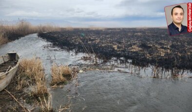 Eber Gölü civarında yangın: ‘300 dekar alan kül oldu’