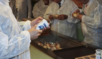 Eğitim-öğretim yılının ilk yarısında kantinlere 178 idari yaptırım