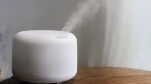 Evdeki hava nemlendiricisi sizi hasta ediyor olabilir: Haznede biriken ‘görünmez tehlike’…