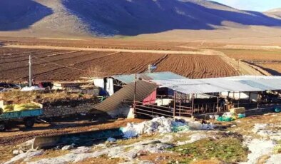 Fırtınada üzerine çatı düşen çiftçi hayatını kaybetti!