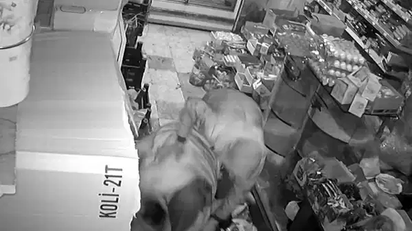 Gaziantep’te dehşet: 11 yaşındaki kız çocuğunu marketin ortasında bıçakladı