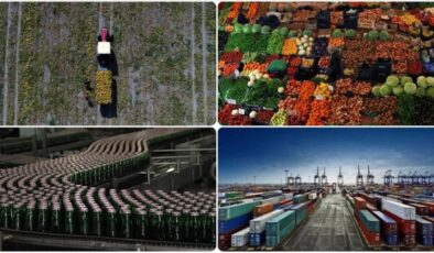 Gümrüklerde yeni düzenleme: Tarım ürünleri ithalatı