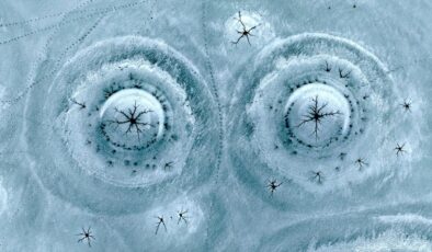 Gümüşören Barajı’nda doğanın sanatı: Göz bebeğini andıran buz desenleri