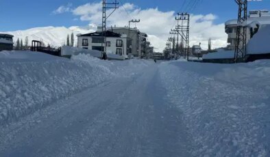 Hakkari kara teslim: 110 köy ve 247 mezra yolu ulaşıma kapandı