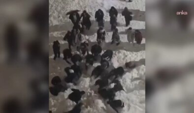 Hakkari’de çatıdan düşen kar kütlesinin altında kalan iki öğrenci hastaneye kaldırıldı