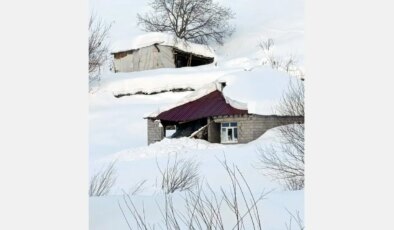 Hakkari’de çığ düştü: Evler ve ahırlar zarar gördü, 120 küçükbaş öldü