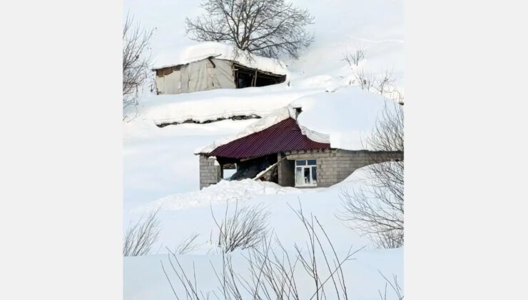 Hakkari’de çığ düştü: Evler ve ahırlar zarar gördü, 120 küçükbaş öldü